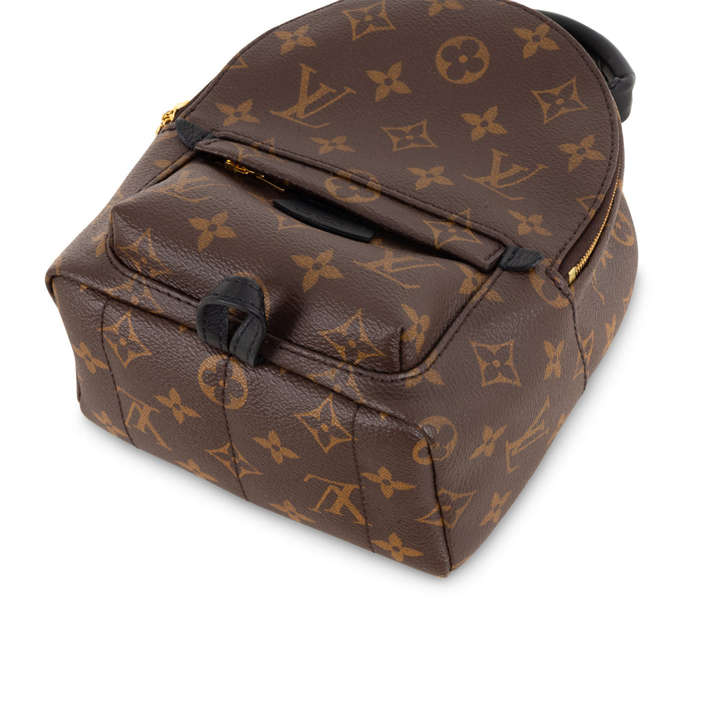 Louis Vuitton Palm Springs Backpack - Mini