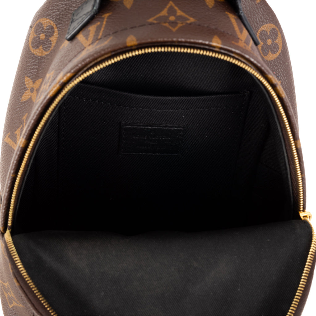 Louis Vuitton Palm Springs Backpack - Mini