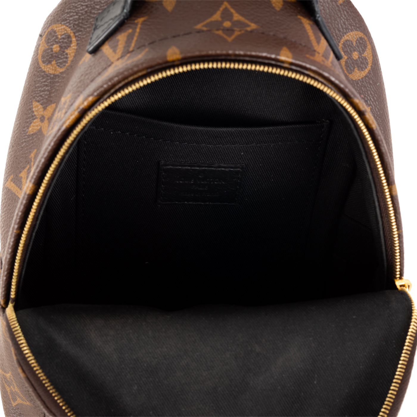 Louis Vuitton Palm Springs Backpack - Mini
