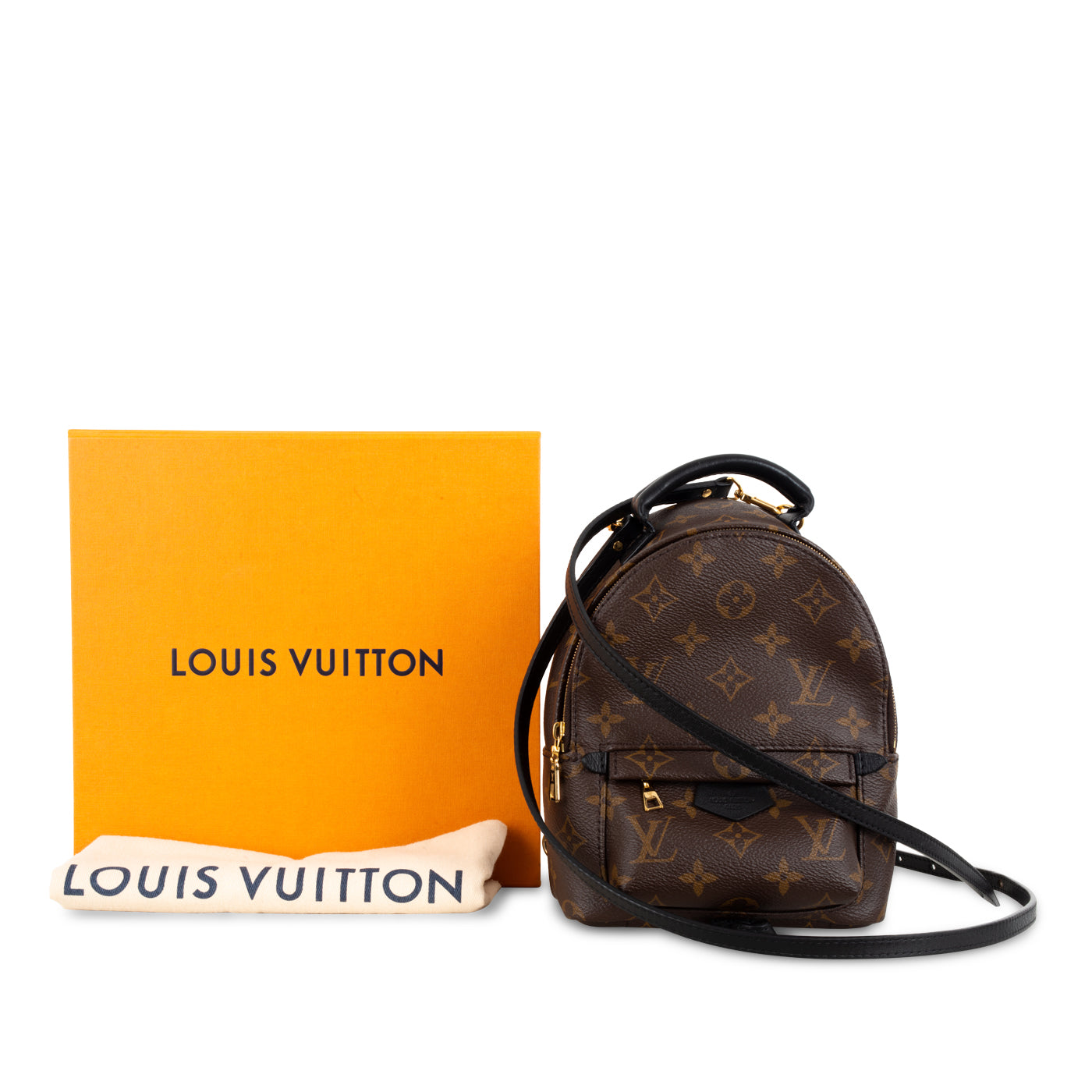 Louis Vuitton Palm Springs Backpack - Mini