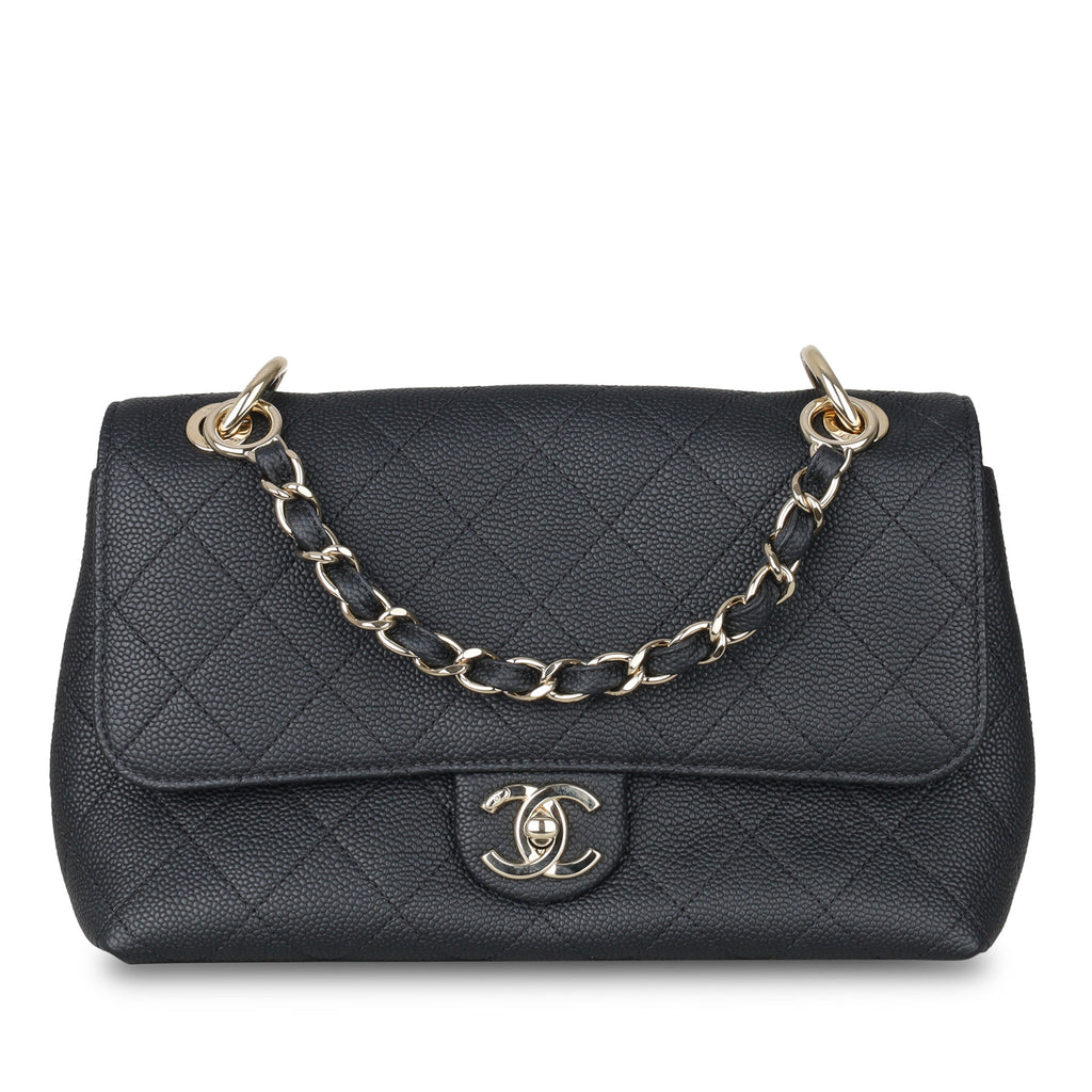Chanel Chanel Seasonal Flap Bag