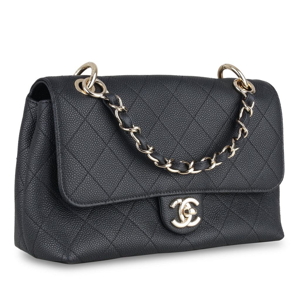 Chanel Chanel Seasonal Flap Bag