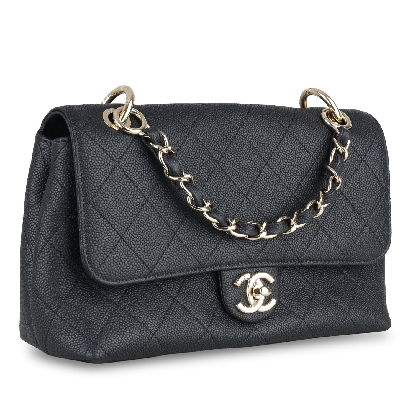 Chanel Chanel Seasonal Flap Bag