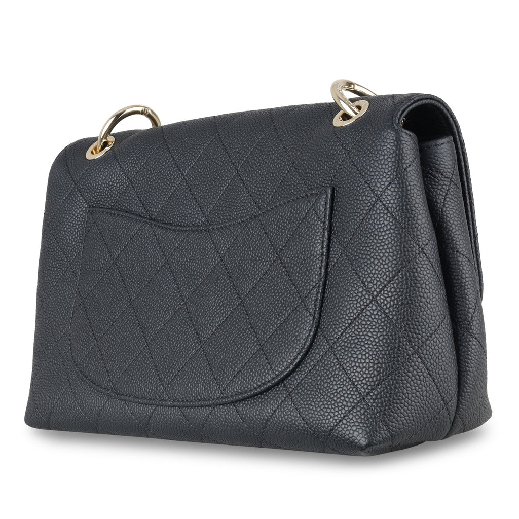 Chanel Chanel Seasonal Flap Bag