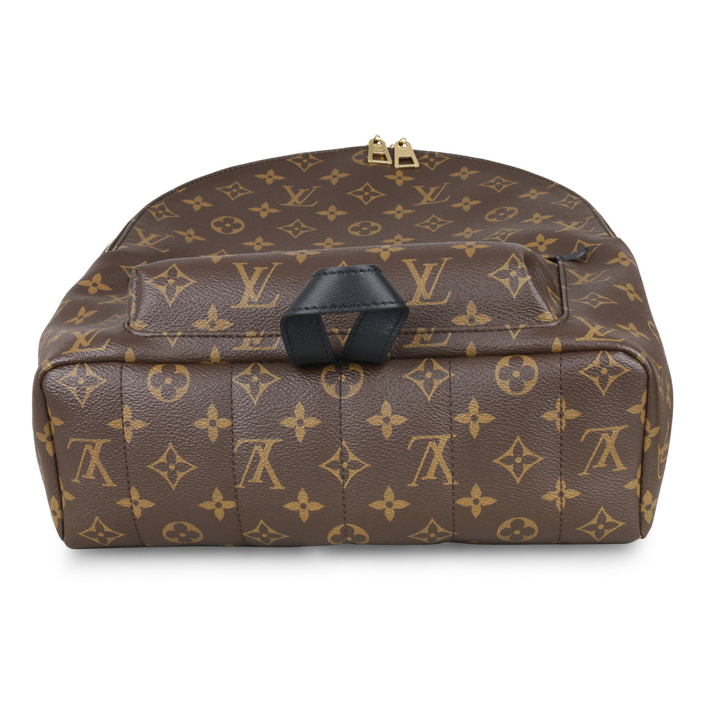 Louis Vuitton Palm Springs Backpack MM