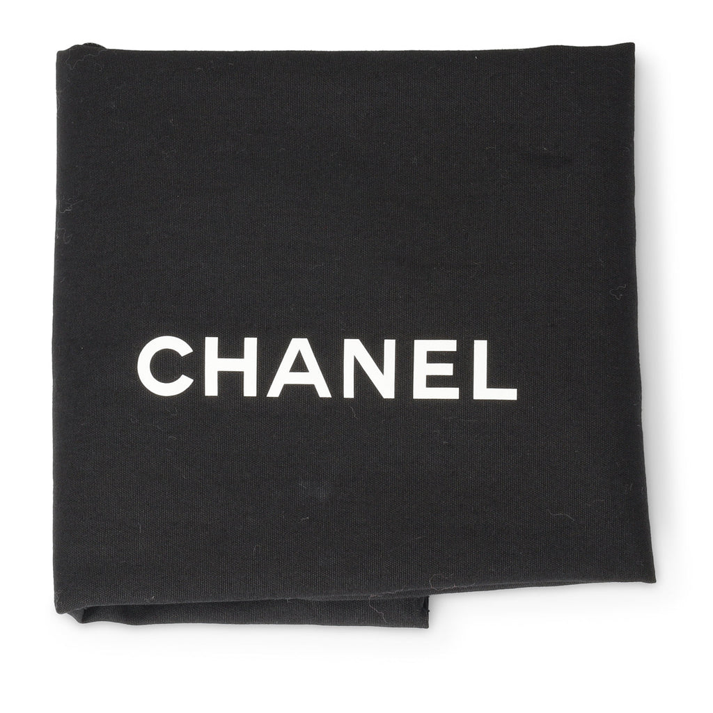 Chanel Chanel 19 Flap Bag - Small