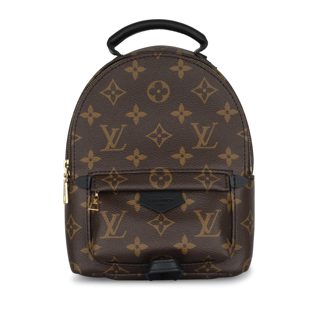 Louis Vuitton Palm Springs Backpack - Mini