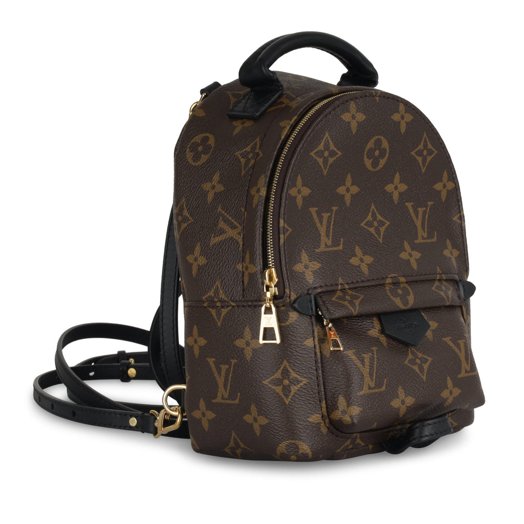 Louis Vuitton Palm Springs Backpack - Mini