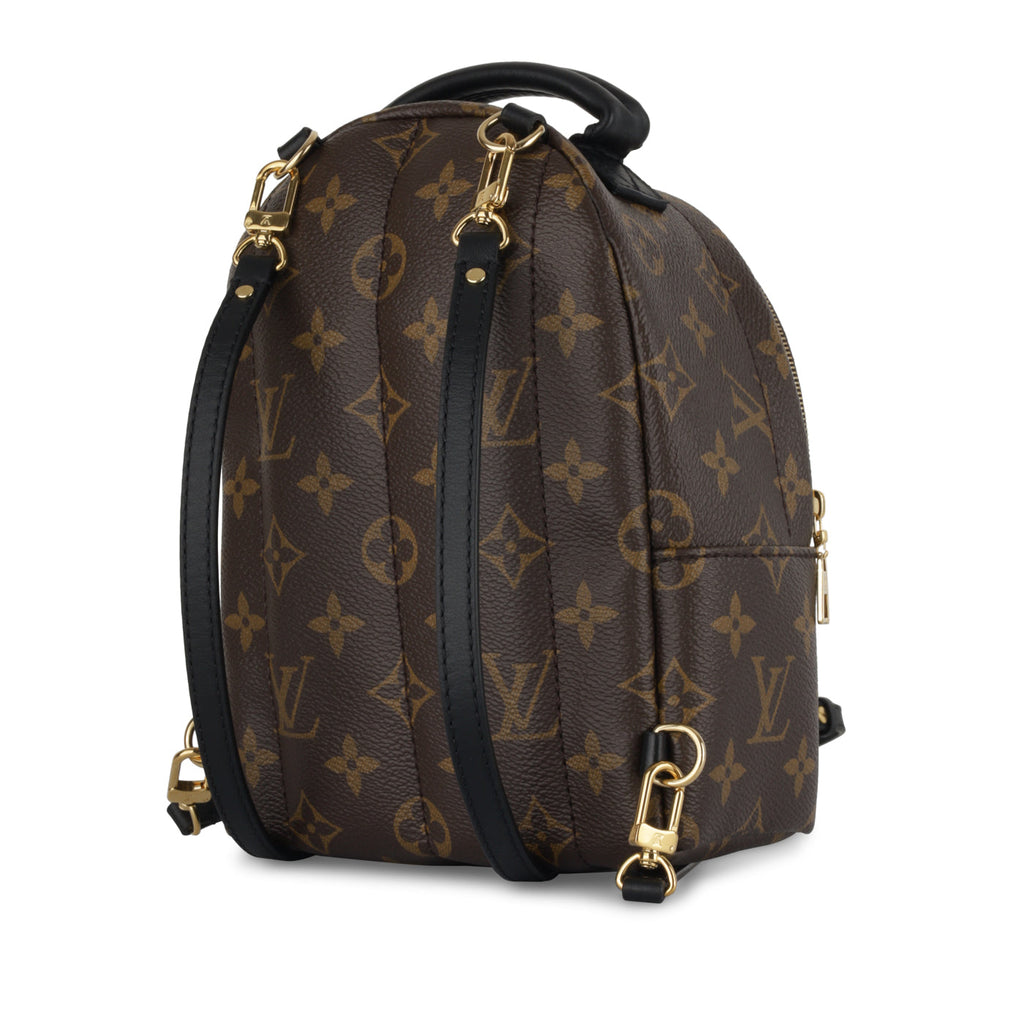 Louis Vuitton Palm Springs Backpack - Mini