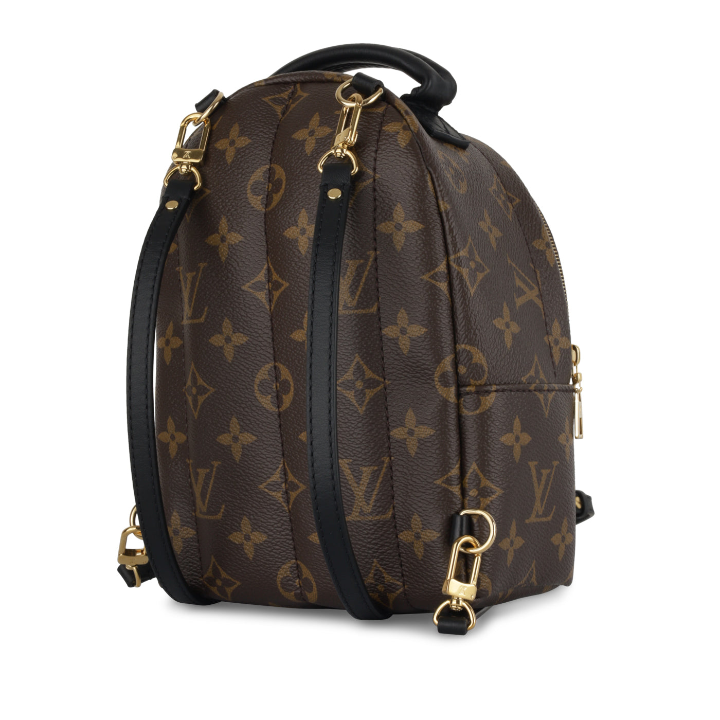 Louis Vuitton Palm Springs Backpack - Mini