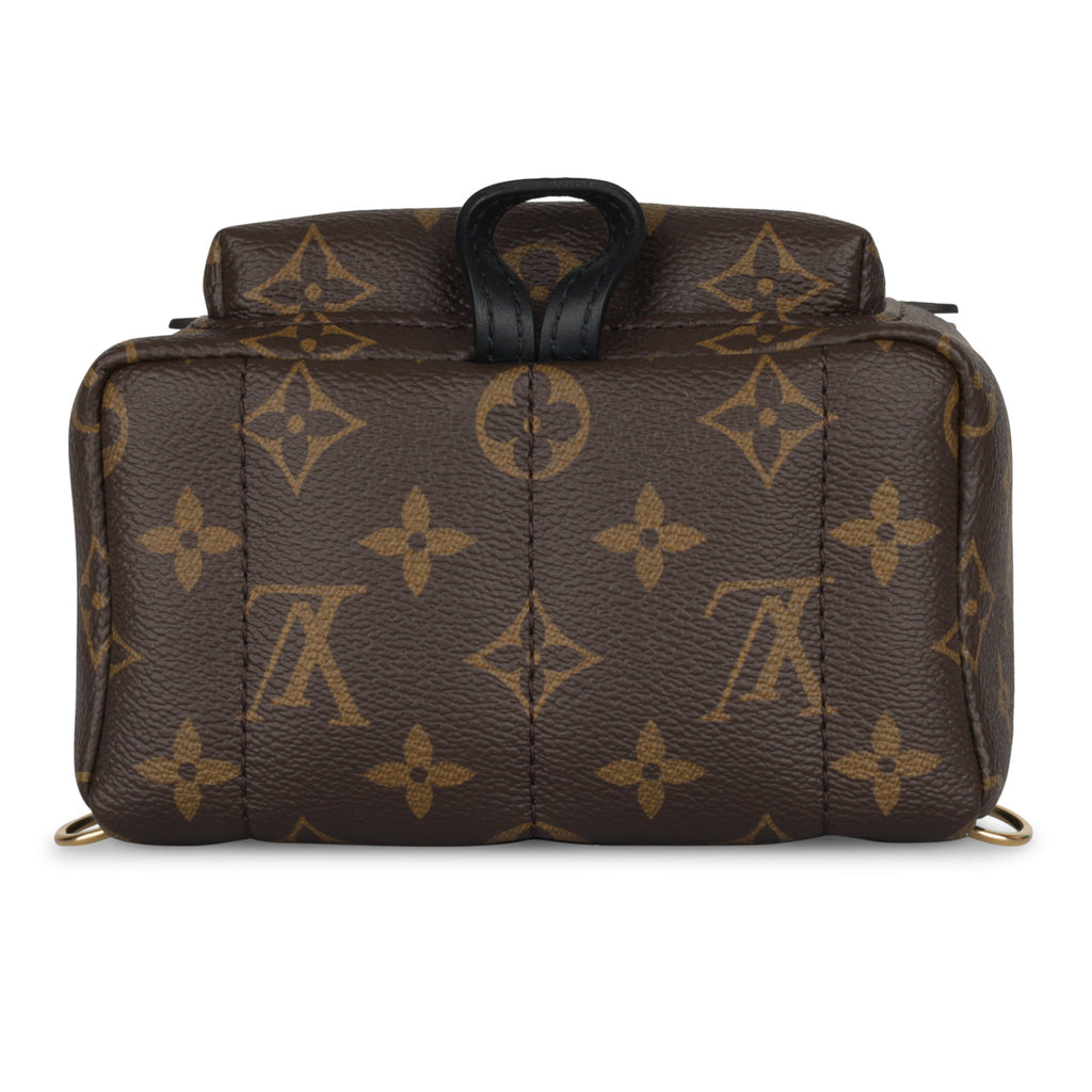 Louis Vuitton Palm Springs Backpack - Mini