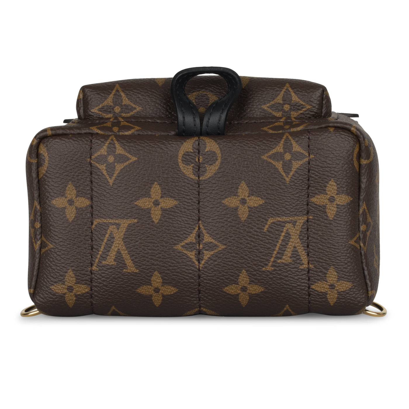 Louis Vuitton Palm Springs Backpack - Mini
