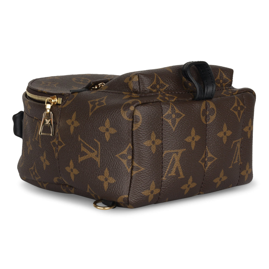 Louis Vuitton Palm Springs Backpack - Mini