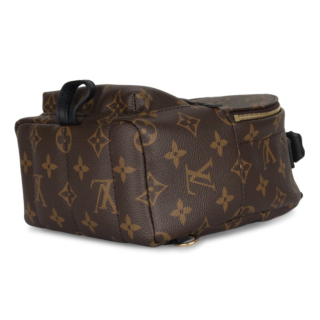 Louis Vuitton Palm Springs Backpack - Mini