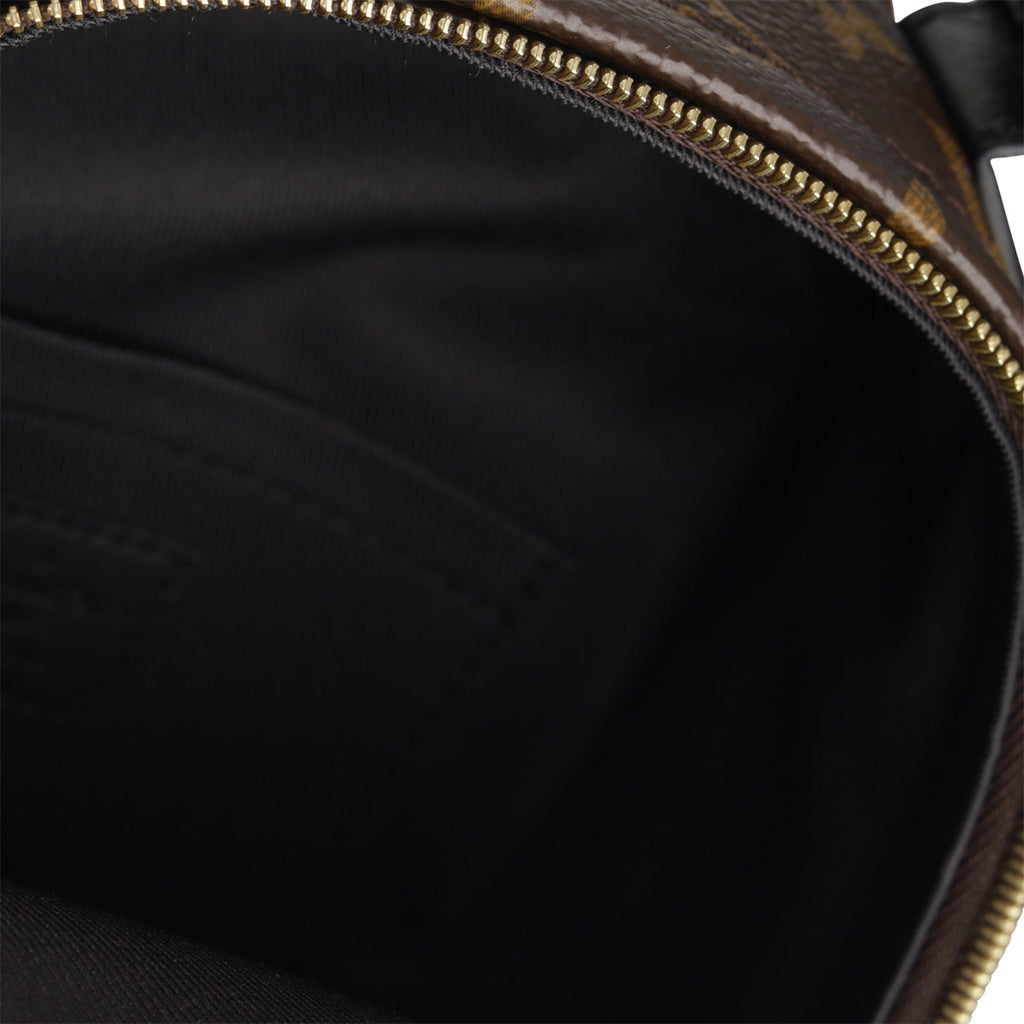 Louis Vuitton Palm Springs Backpack - Mini