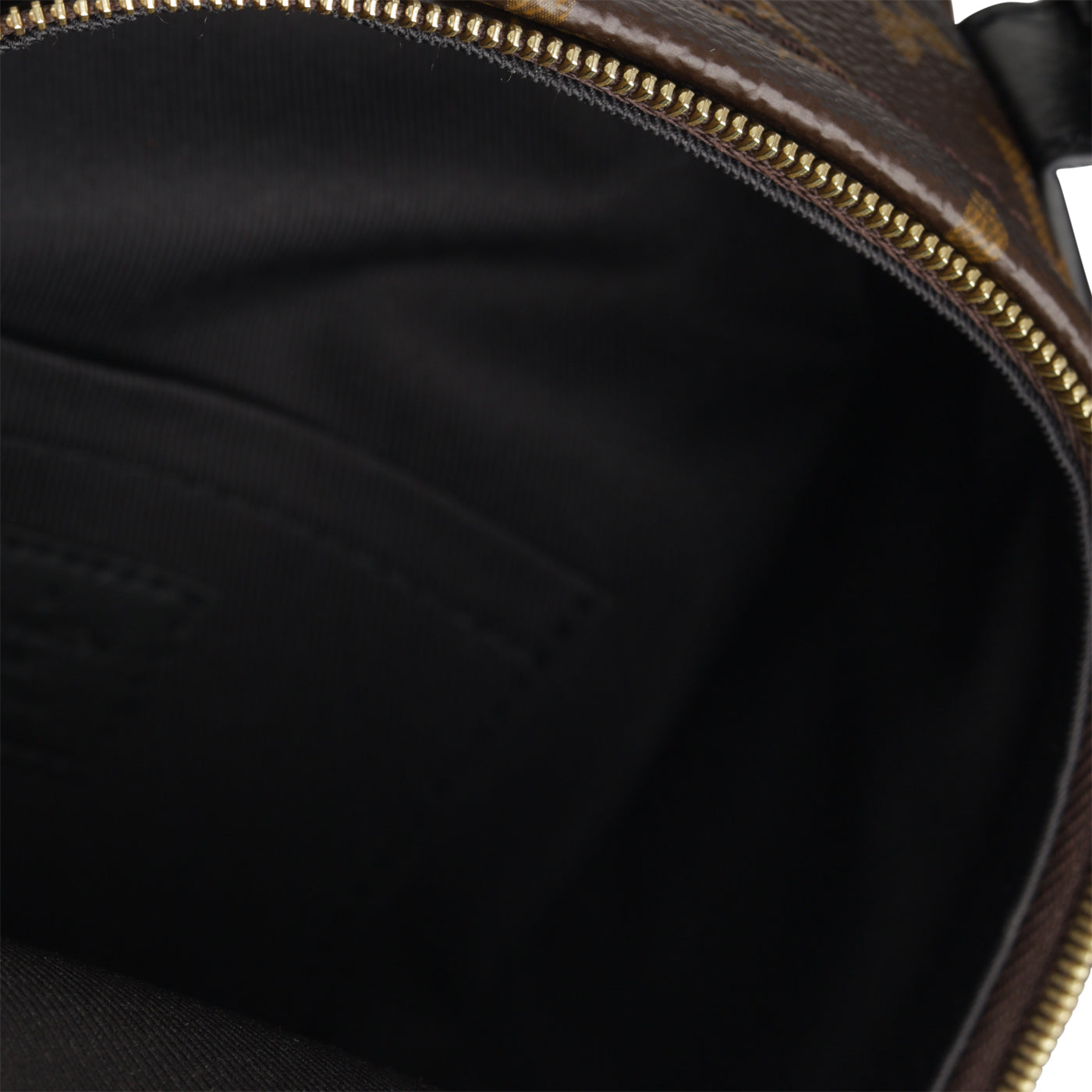 Louis Vuitton Palm Springs Backpack - Mini