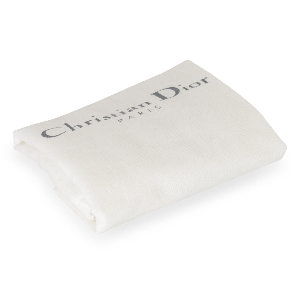 Christian Dior Vintage Saddle Pochette