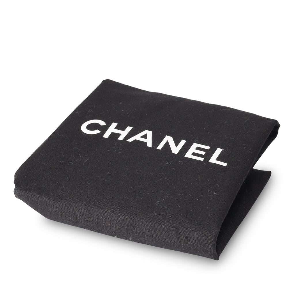 Chanel Chanel 19 - Small