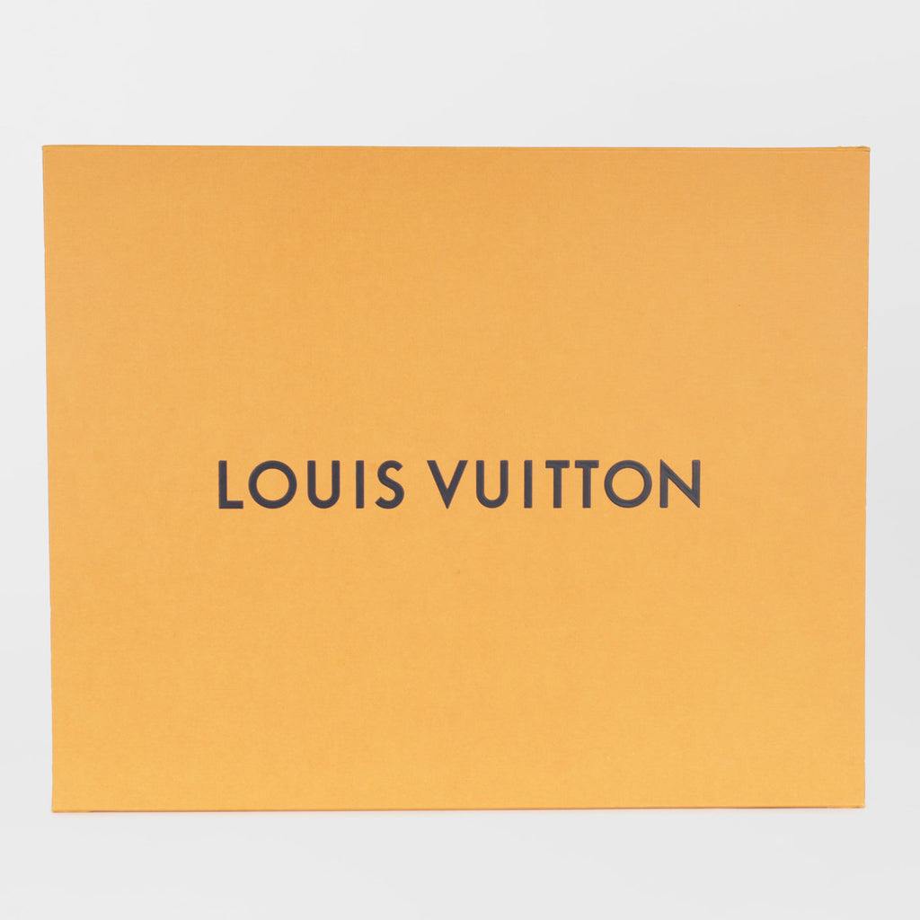 Louis Vuitton Josh Backpack - Damier Graphite