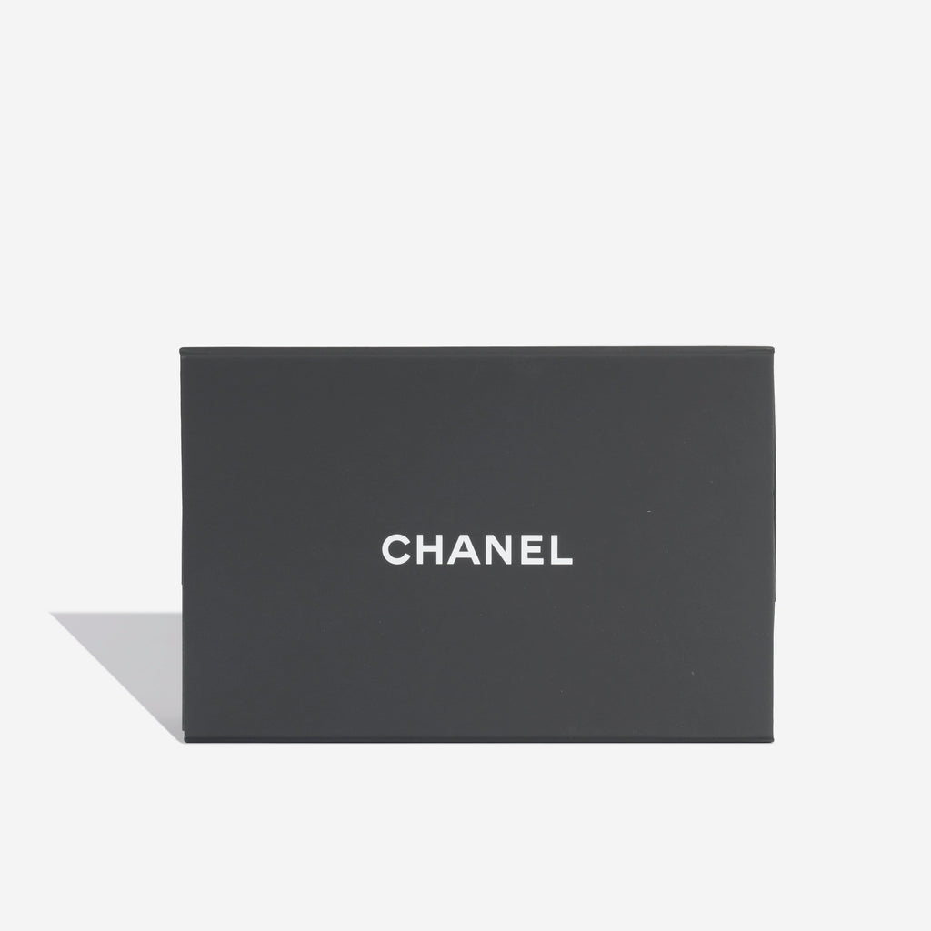 Chanel Lacquered Chain Flap Bag - White Lambskin