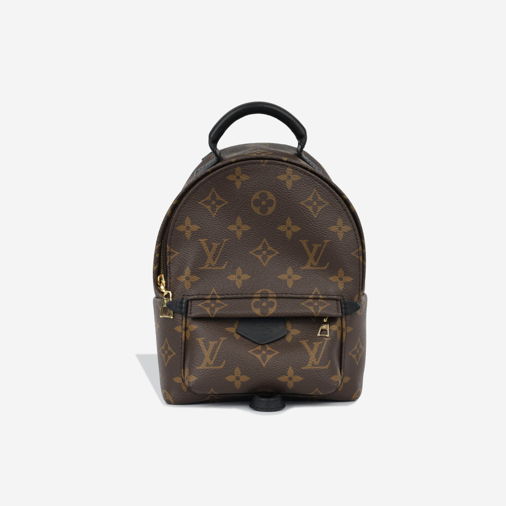 Louis Vuitton Palm Springs Backpack - Mini