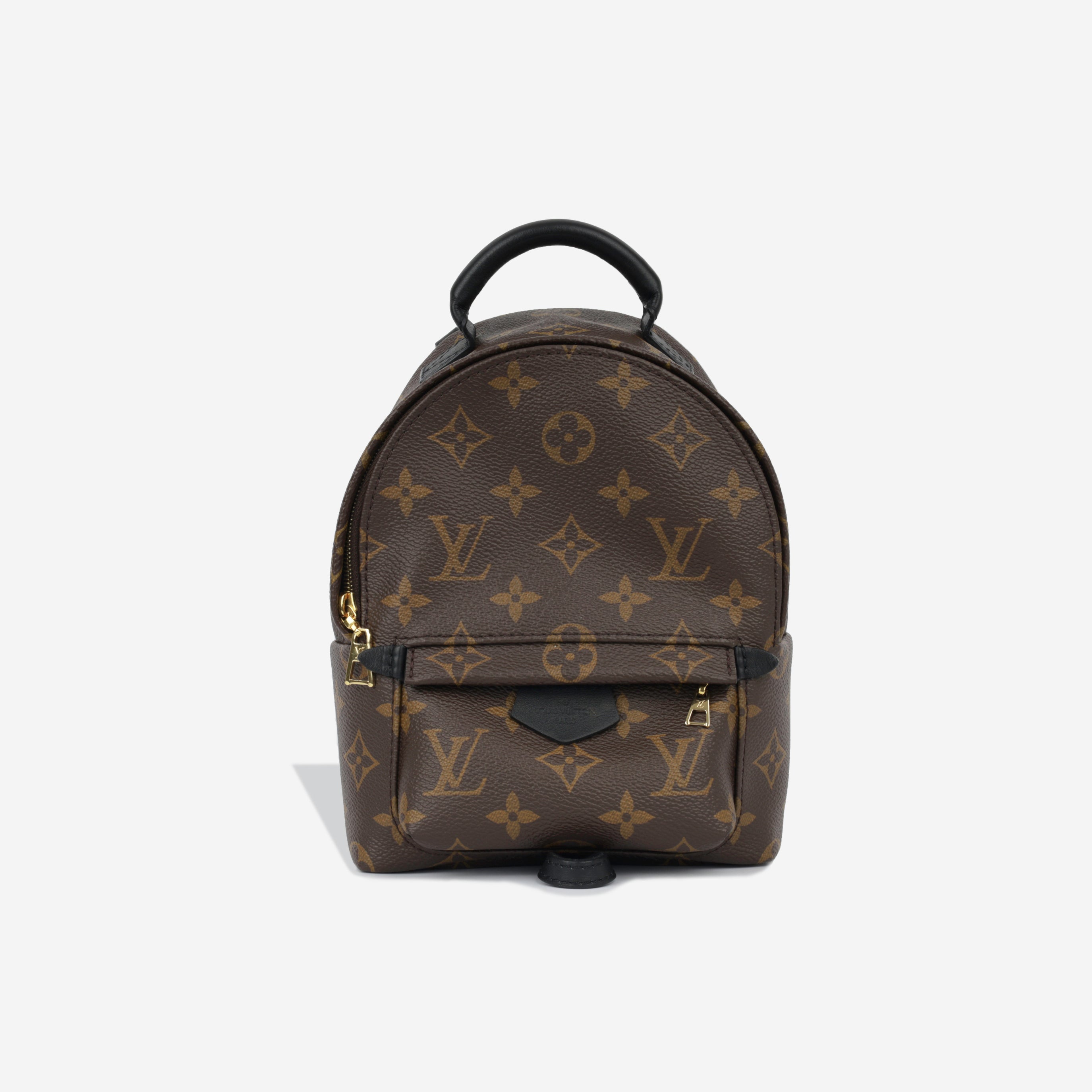 Louis Vuitton Palm Springs Backpack - Mini