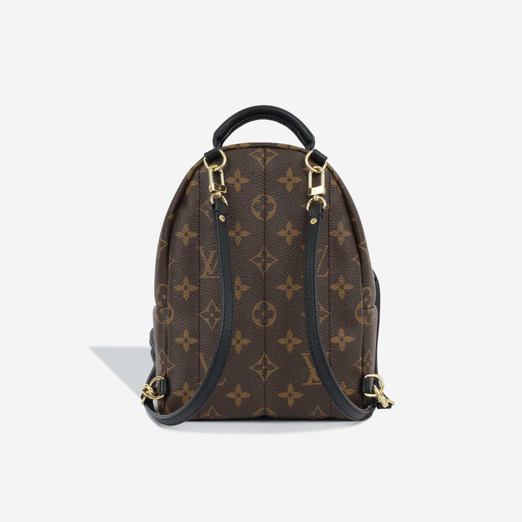 Louis Vuitton Palm Springs Backpack - Mini