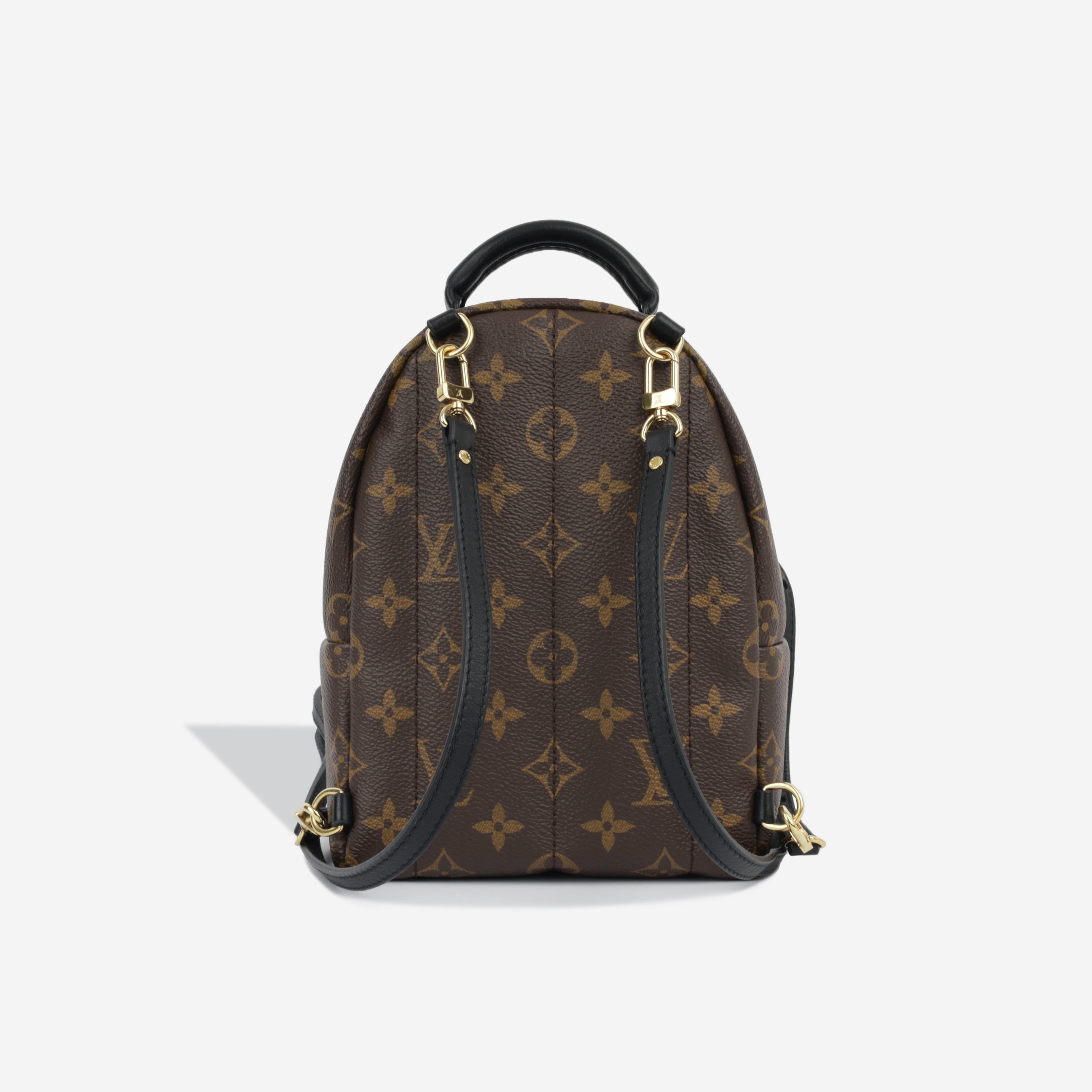 Louis Vuitton Palm Springs Backpack - Mini