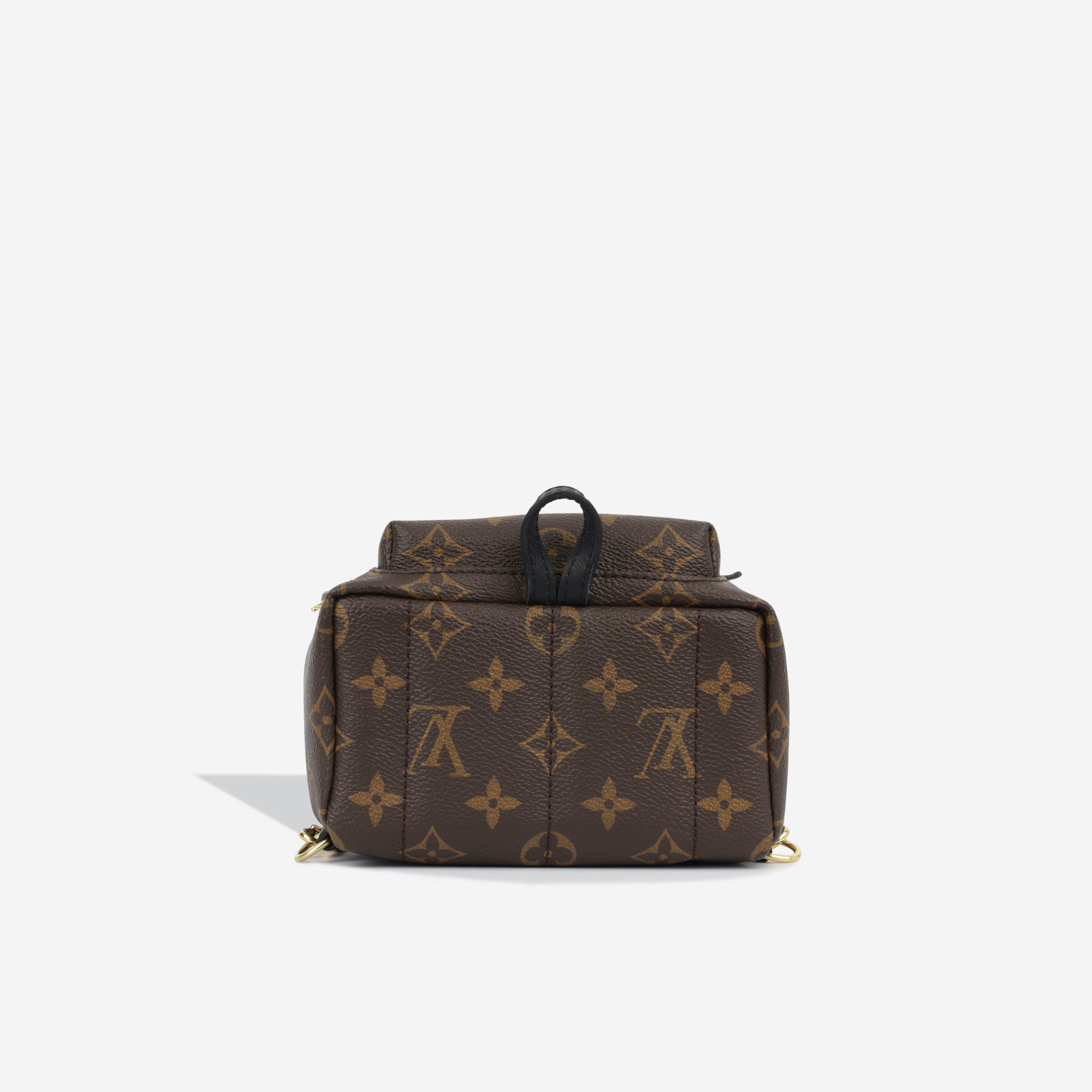 Louis Vuitton Palm Springs Backpack - Mini