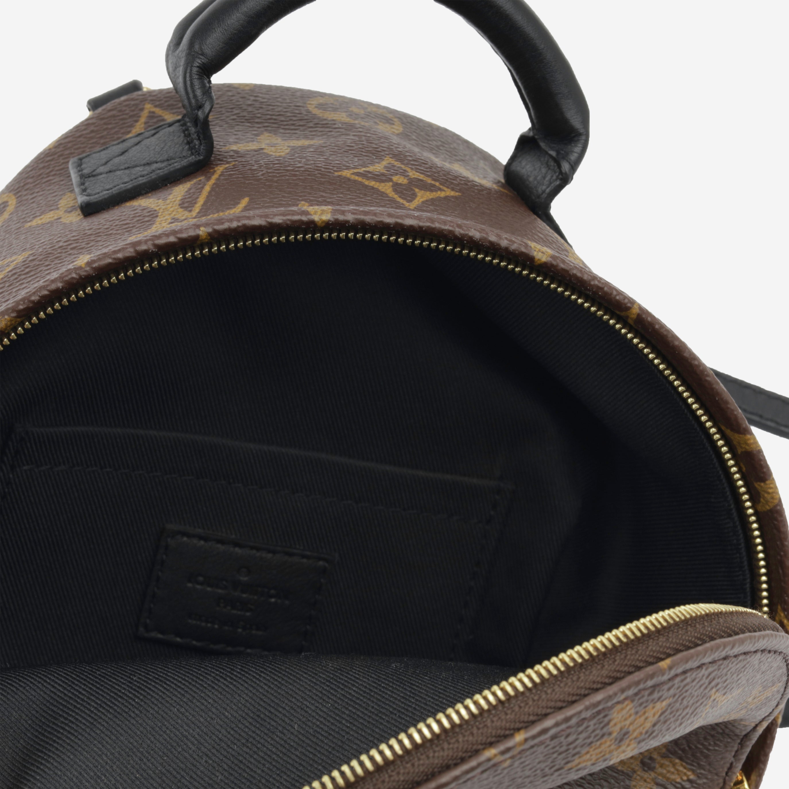 Louis Vuitton Palm Springs Backpack - Mini