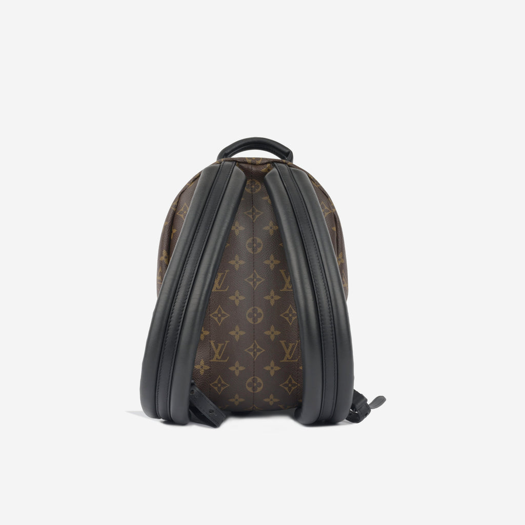 Louis Vuitton Palm Springs Backpack PM