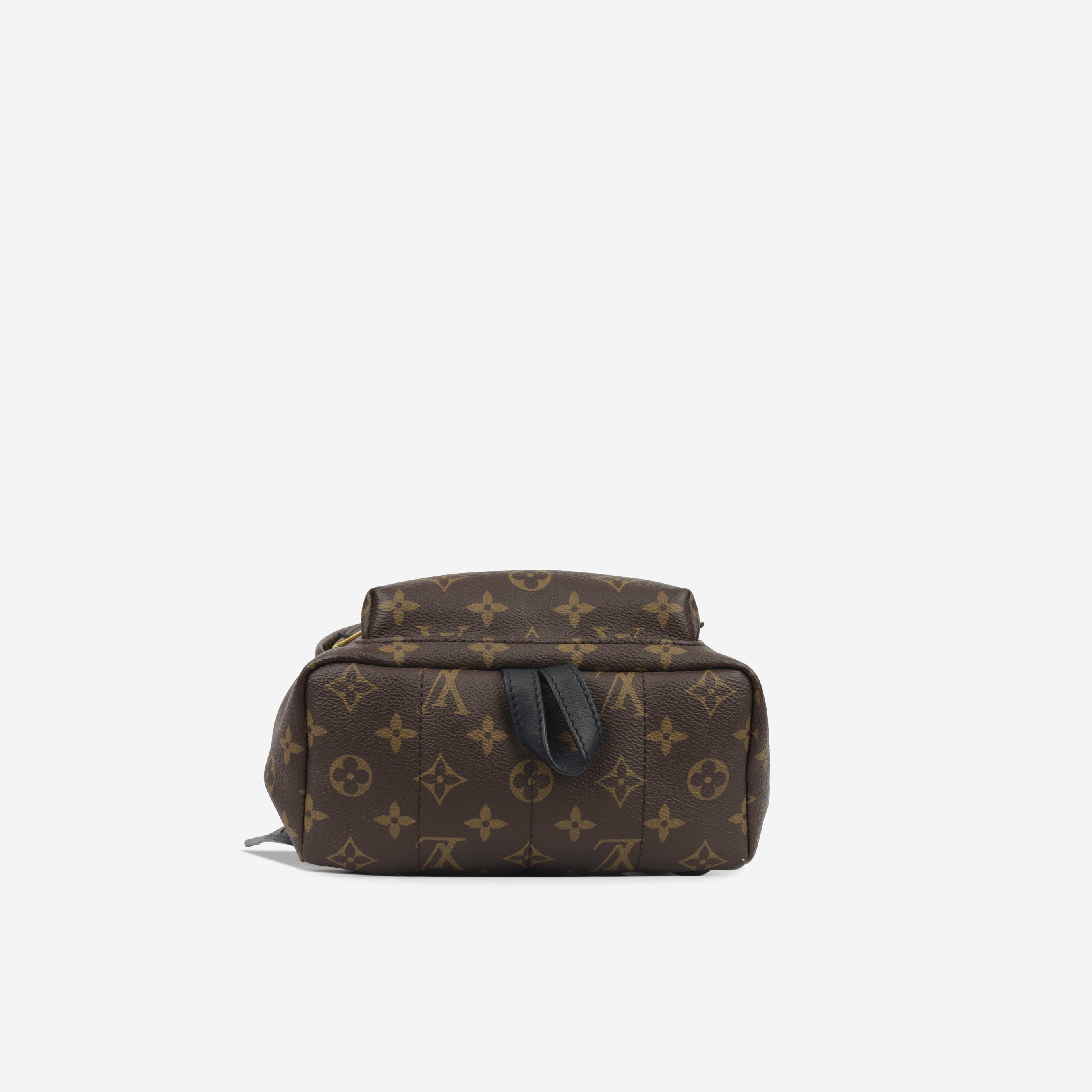 Louis Vuitton Palm Springs Backpack PM