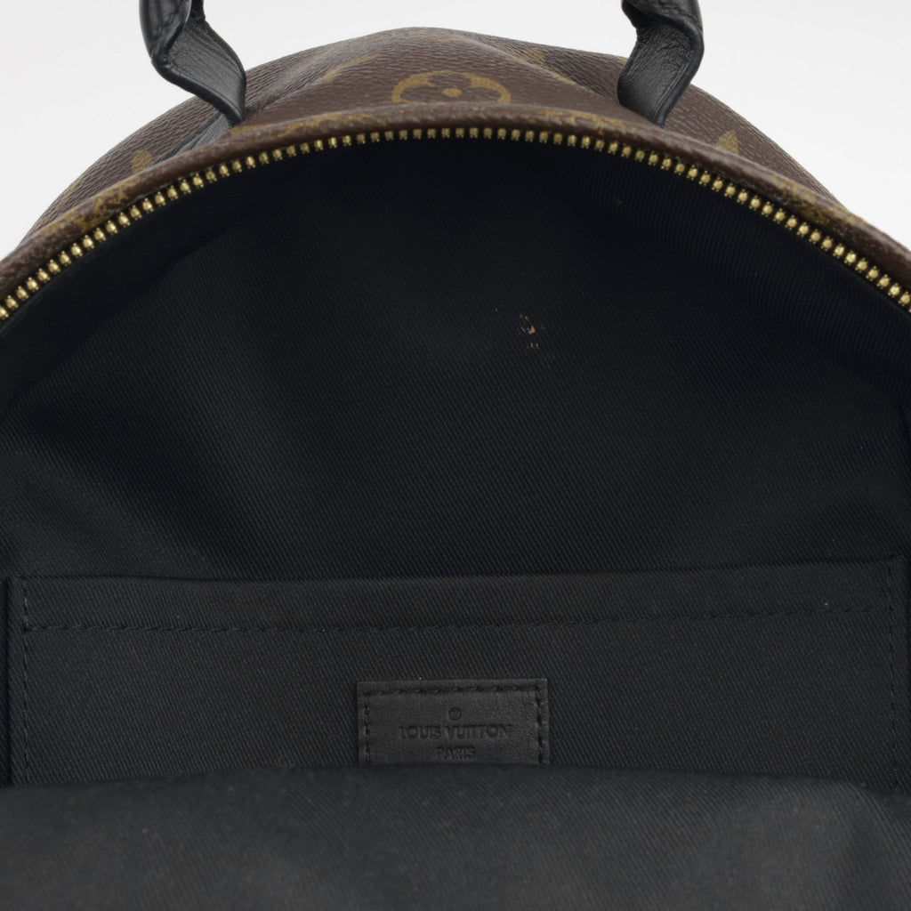 Louis Vuitton Palm Springs Backpack PM