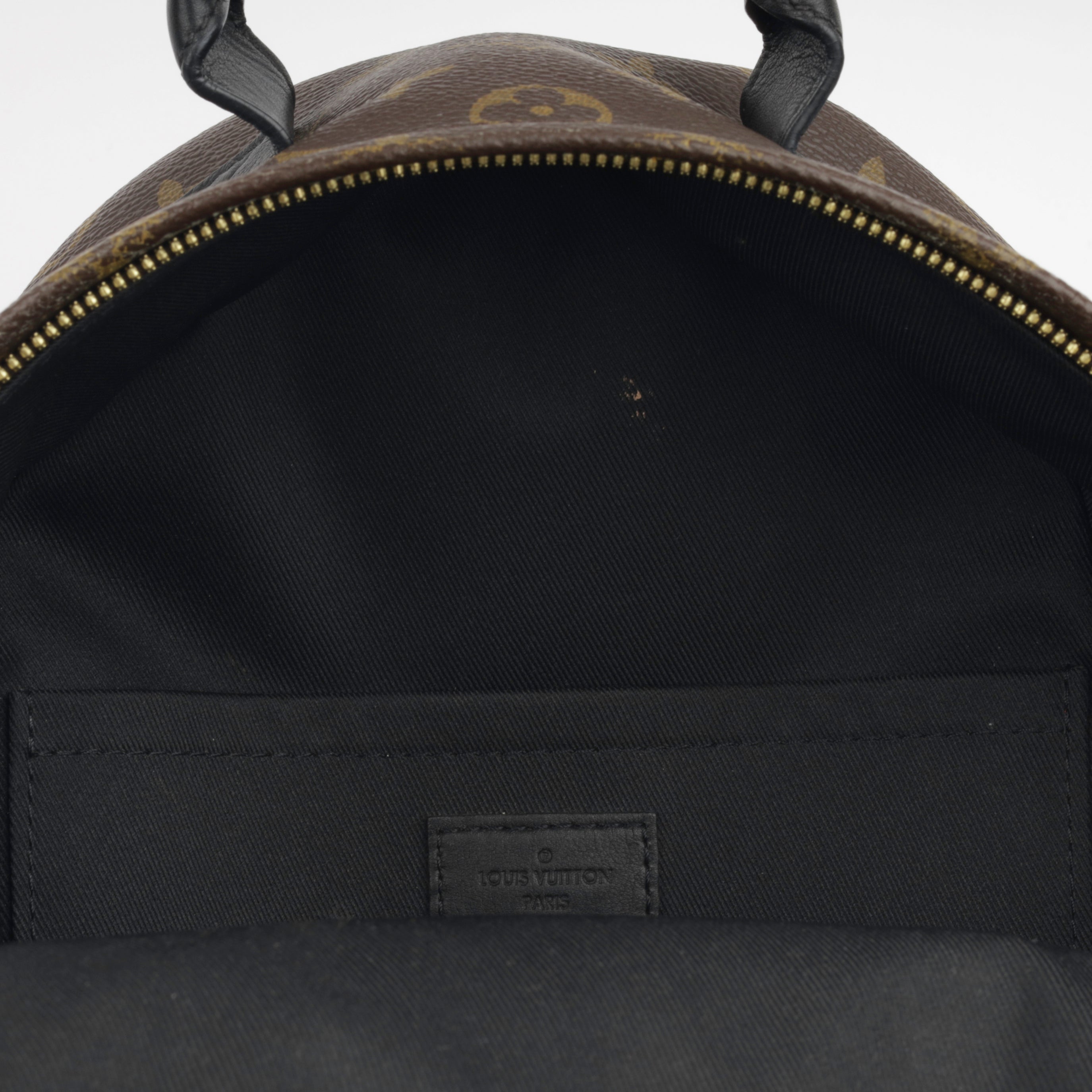 Louis Vuitton Palm Springs Backpack PM