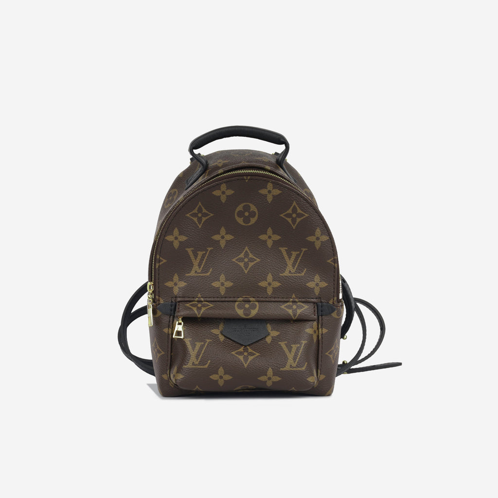 Louis Vuitton Palm Springs Backpack - Mini