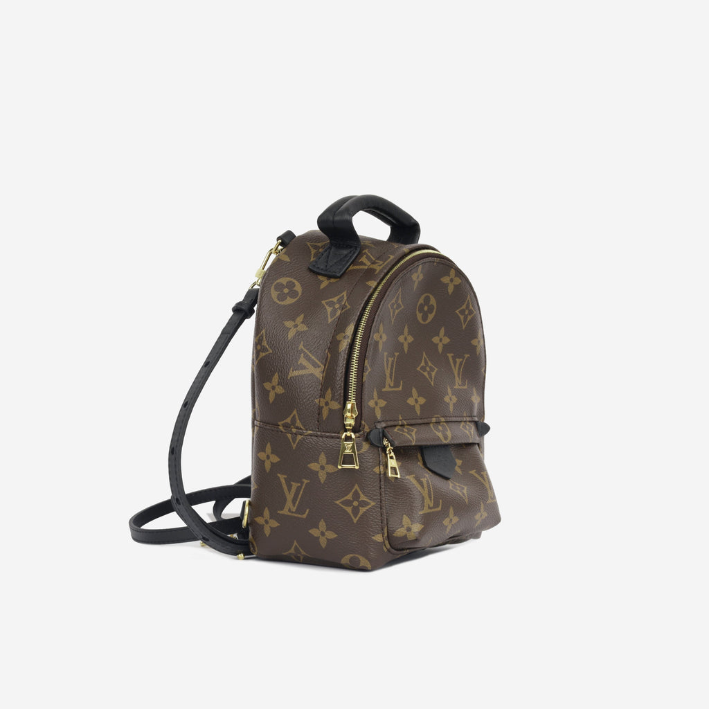 Louis Vuitton Palm Springs Backpack - Mini