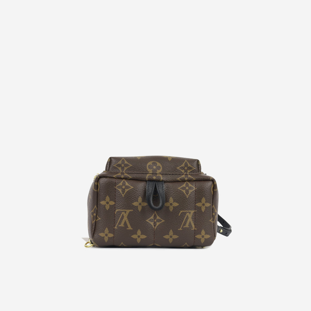 Louis Vuitton Palm Springs Backpack - Mini
