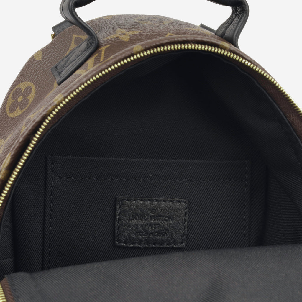 Louis Vuitton Palm Springs Backpack - Mini