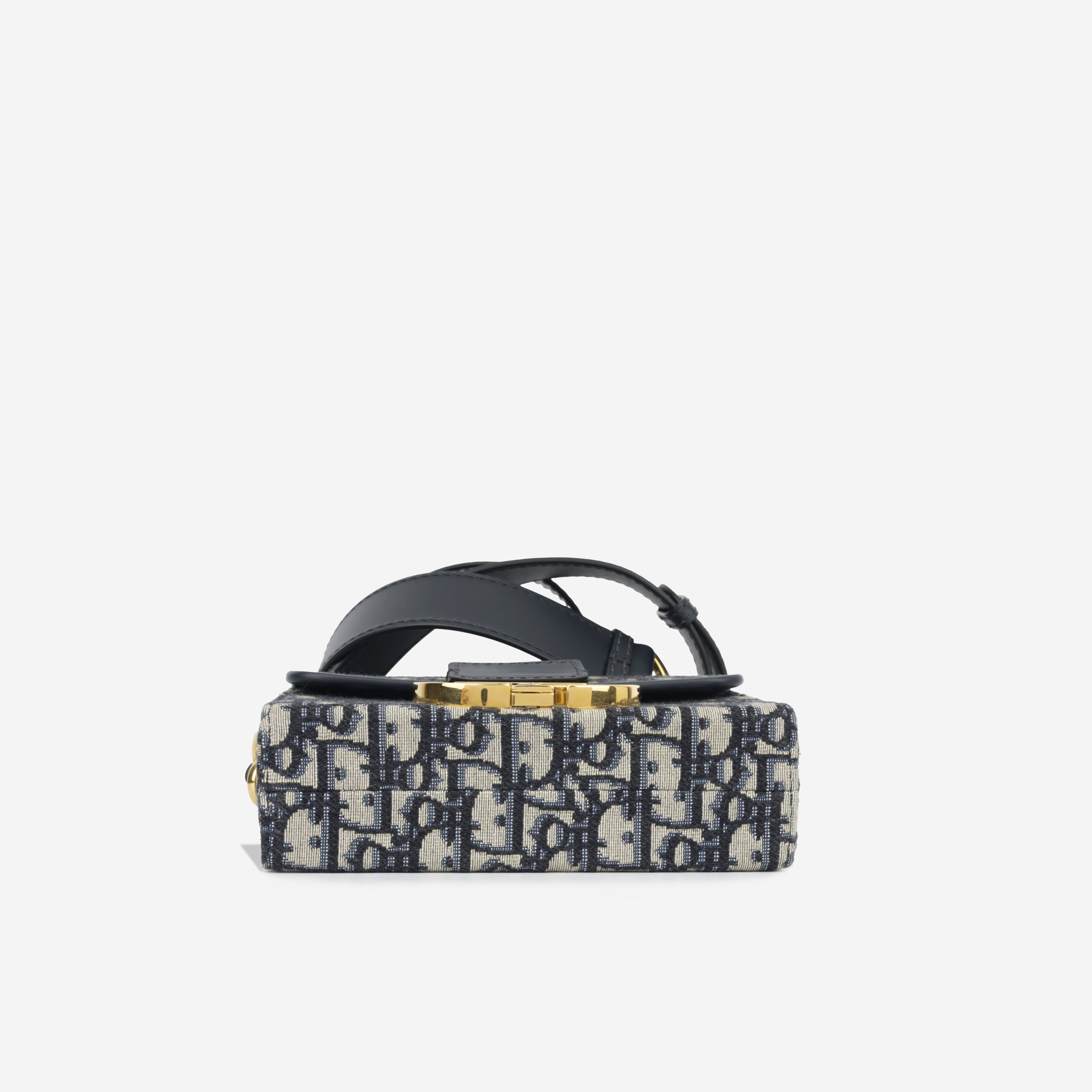 Christian Dior 30 Montaigne Bag