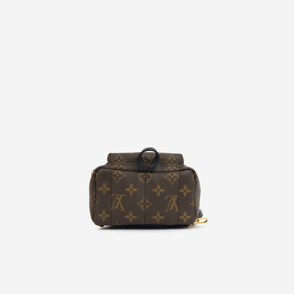 Louis Vuitton Mini Palm Springs Backpack