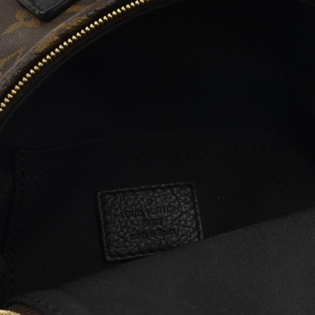 Louis Vuitton Mini Palm Springs Backpack
