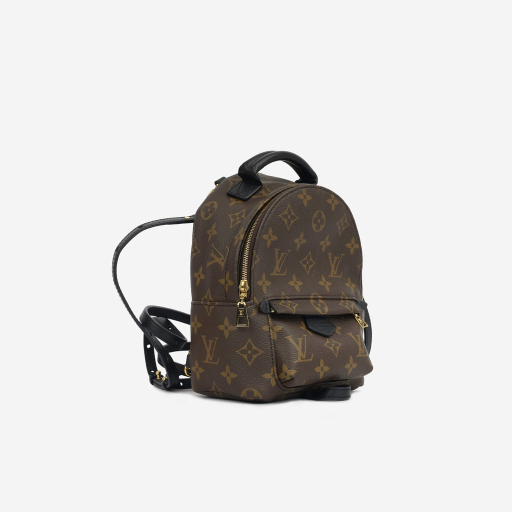 Louis Vuitton Mini Palm Springs Backpack