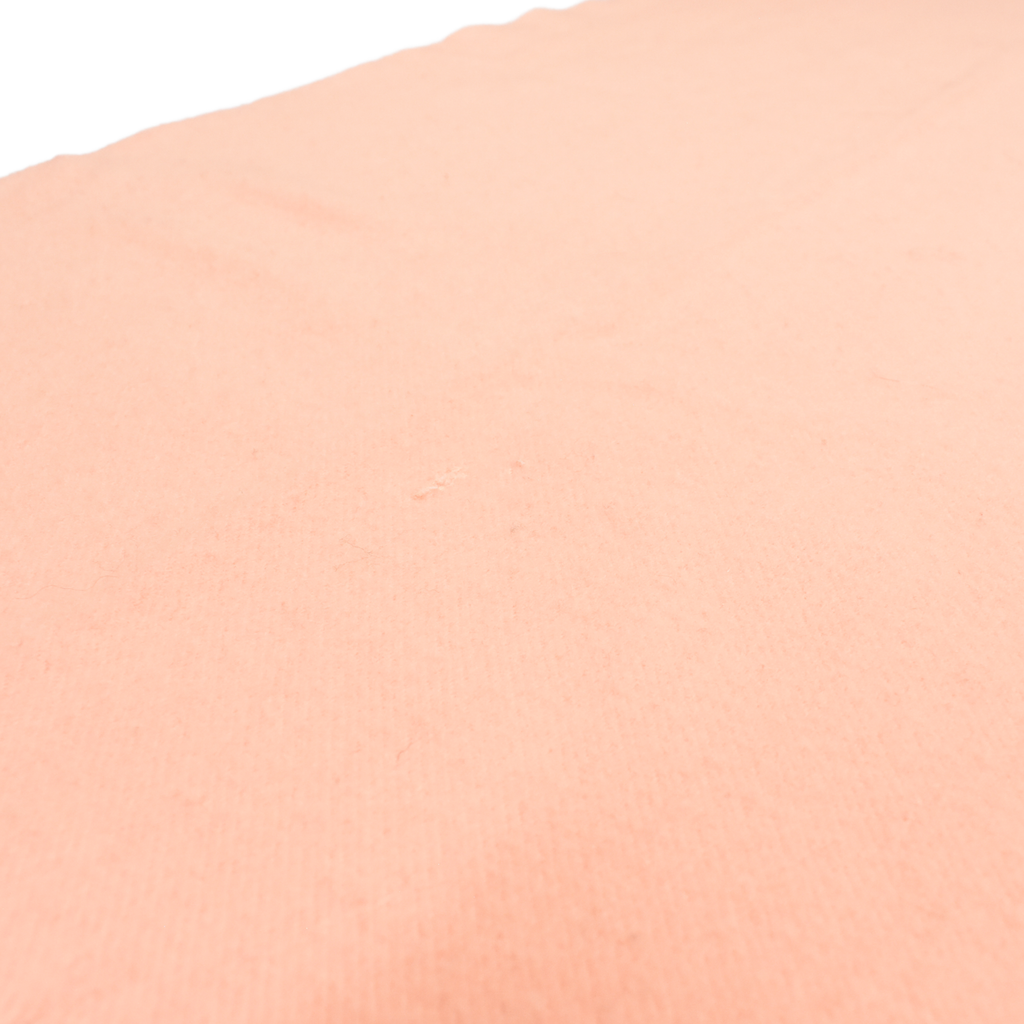 Acne Studios Scarf