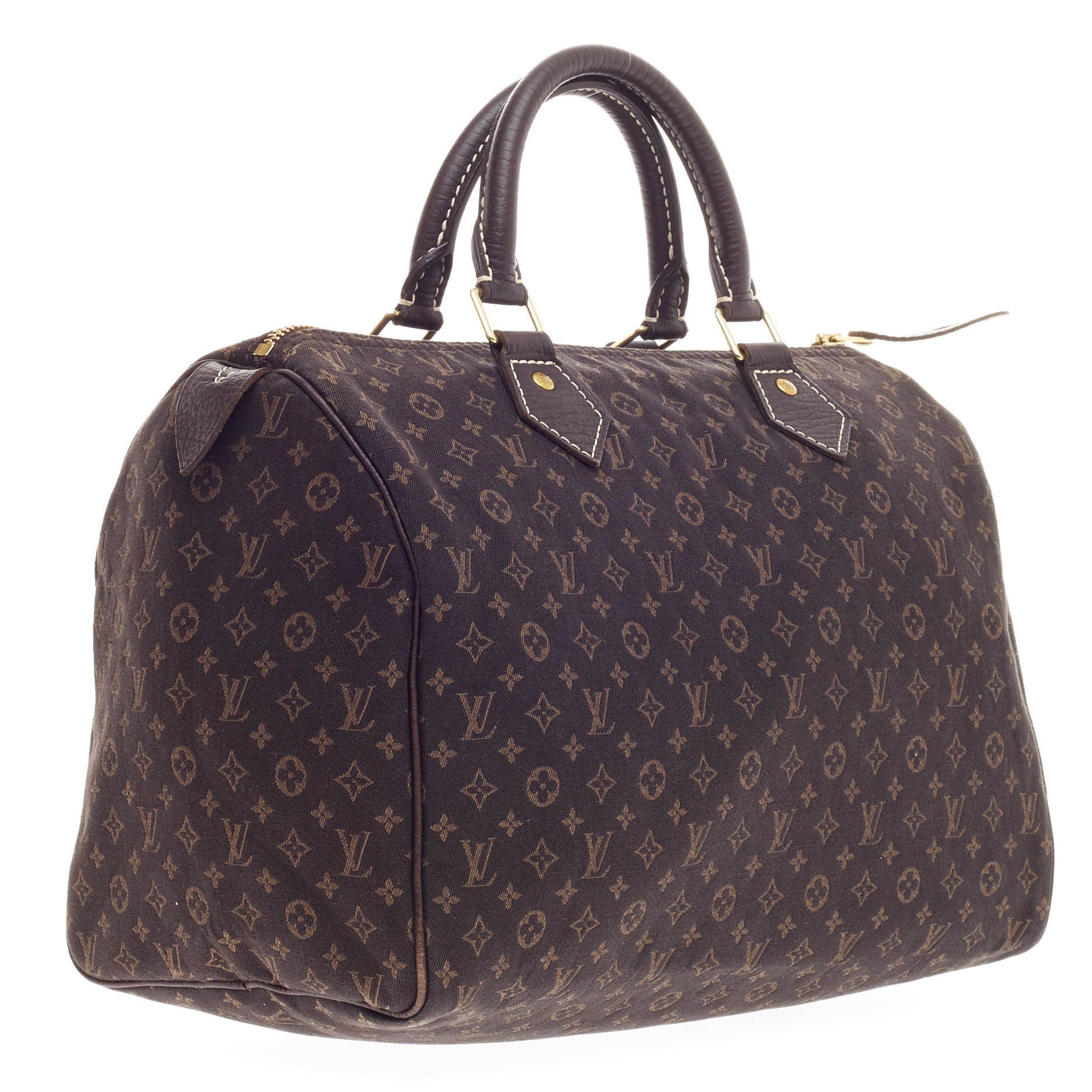 Speedy Handbag Mini Lin 30