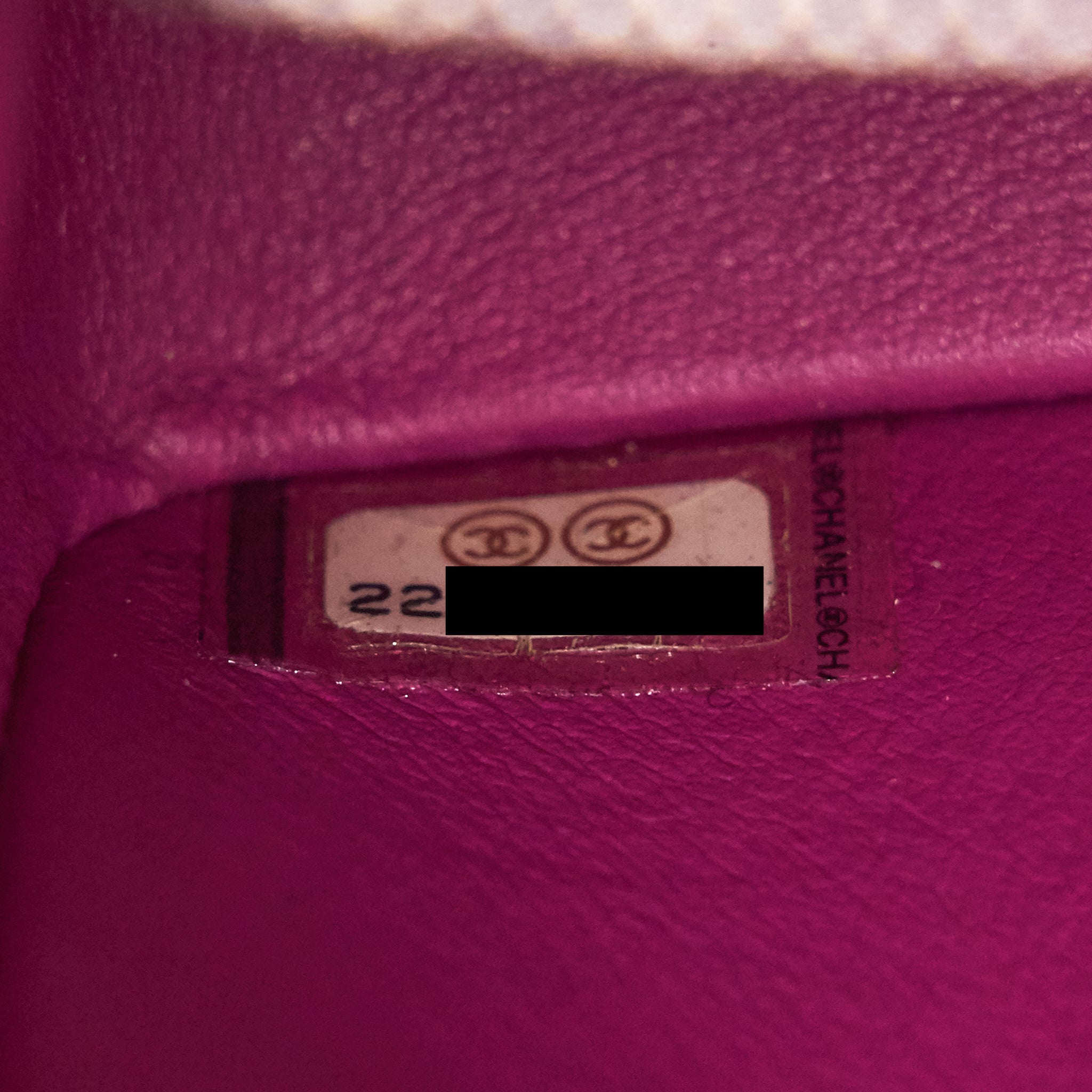 Chanel Alligator Medium Classic Double Flap Bag Pink