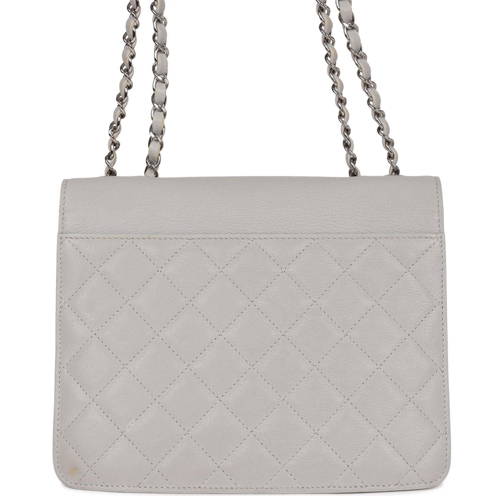 Chanel Companion Flap Bag Grey Goatskin Silver Hardware