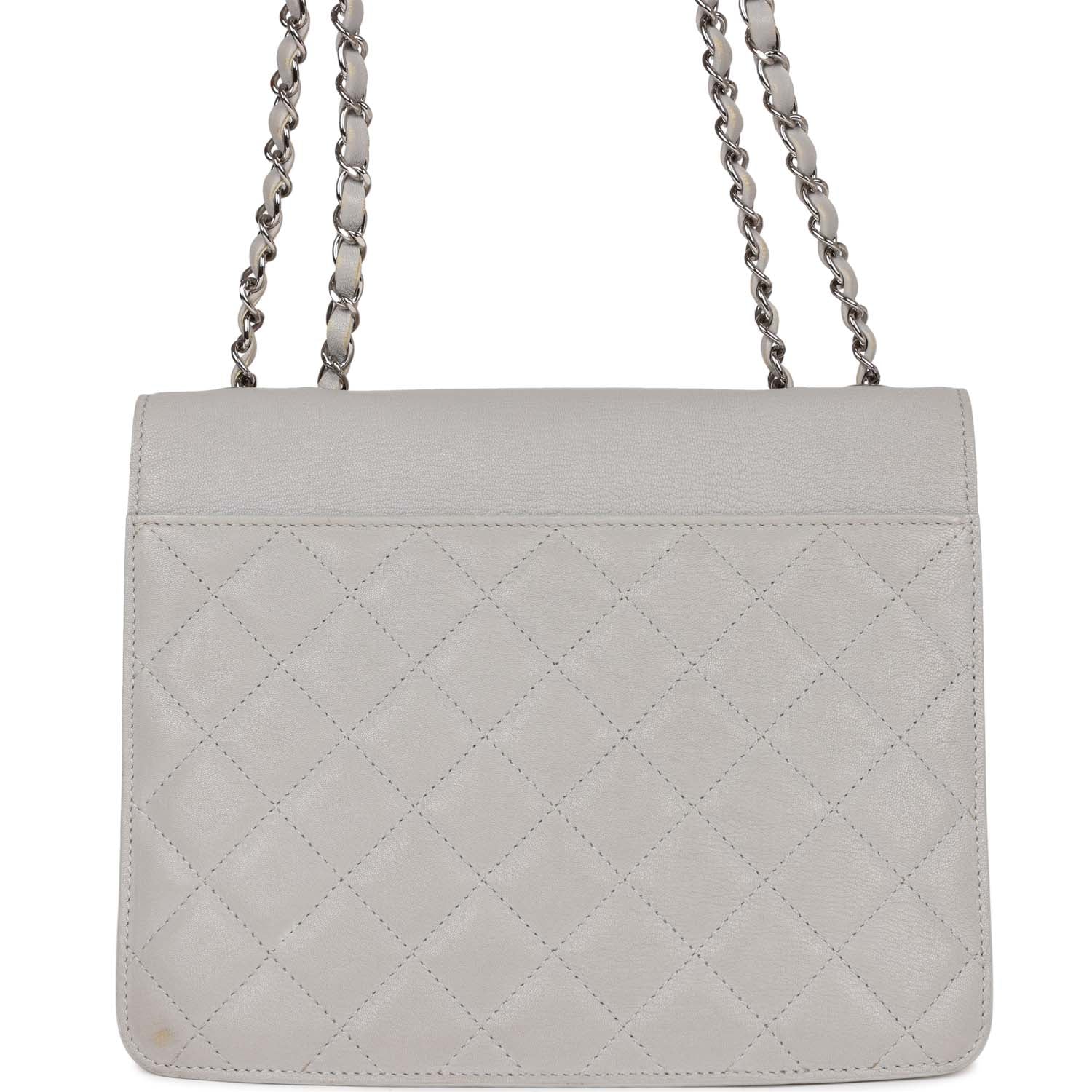 Chanel Companion Flap Bag Grey Goatskin Silver Hardware