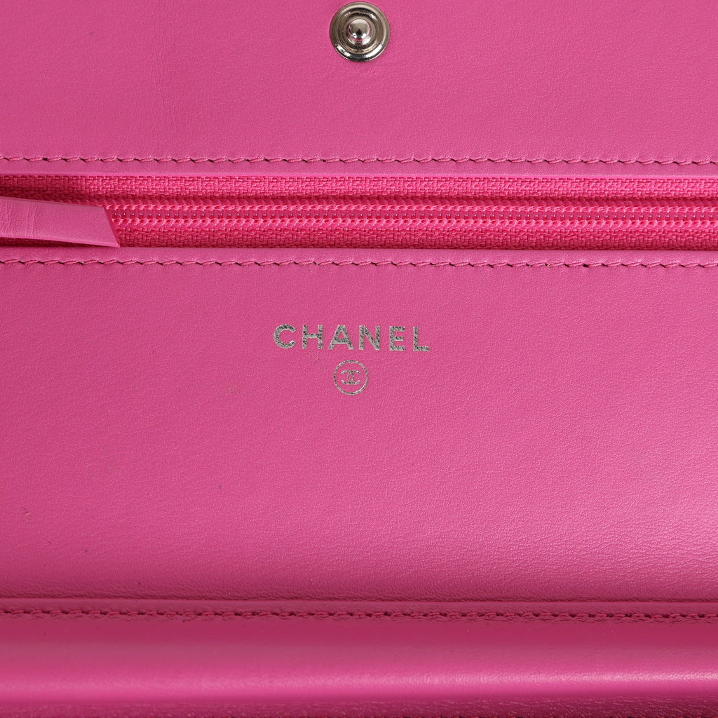Chanel Boy Wallet On Chain WOC Hot Pink Python Brushed Silver Hardware