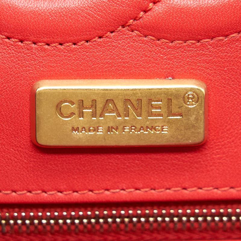 Chanel Python Skin Classic Medium Double Flap with