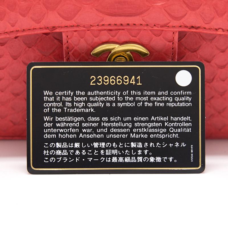 Chanel Python Skin Classic Medium Double Flap with
